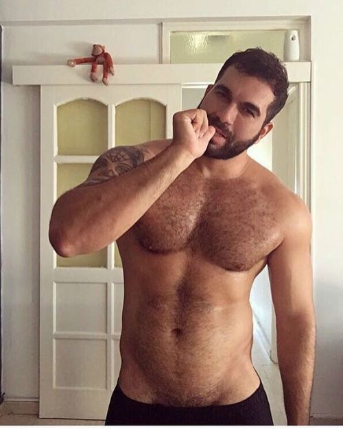 thumper339 - thehairyhunk - 