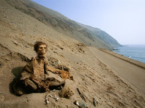 mindcontrolexperiment - Chinchorro mummy, Atacama Desert, Chile