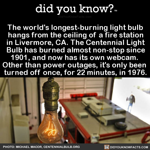 the-worlds-longest-burning-light-bulb-hangs-from