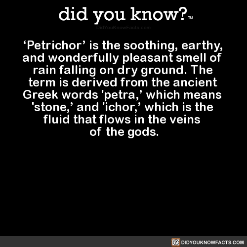 petrichor-is-the-soothing-earthy-and