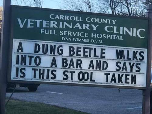 mydailyfunnypics:This vet in my home town always delivers with...