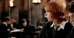 zalrb - Parallel Gifset↳Ron and Hermione as Anastasia and...
