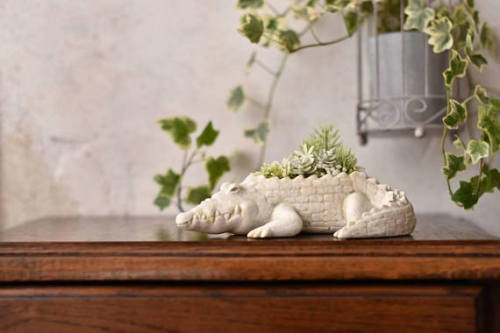 littlealienproducts - White Crocodile Planter byharimogura
