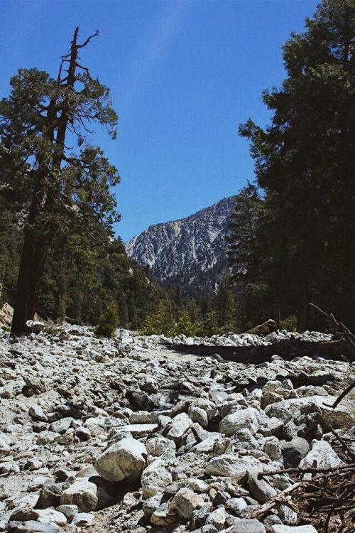 Nothing compares to the beauty of the mountains.Forest Falls,...