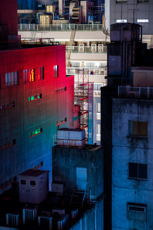 tokyostreetphoto - Bathed in Neon Light, Ginza...