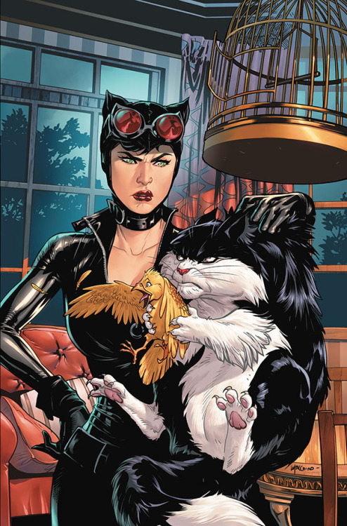 fyeahbatcat - CATWOMAN/TWEETY AND SYLVESTER SPECIAL #1Written...