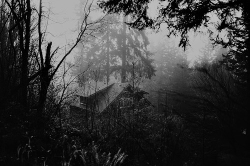 cabin in the woods on Tumblr