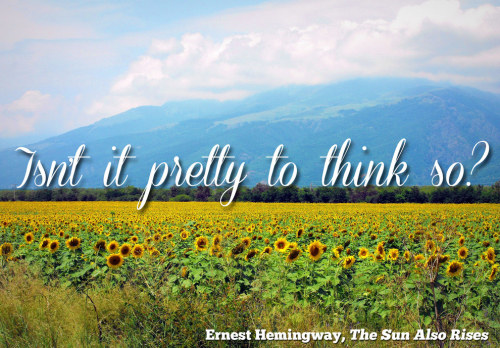 51 Of The Most Beautiful Sentences In Literature  via...