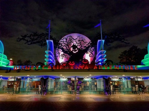 autumn-admiration - Nighttime at Disney!**all photos by...