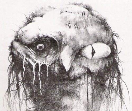 talesfromweirdland - Illustrations by Stephen Gammell from the...