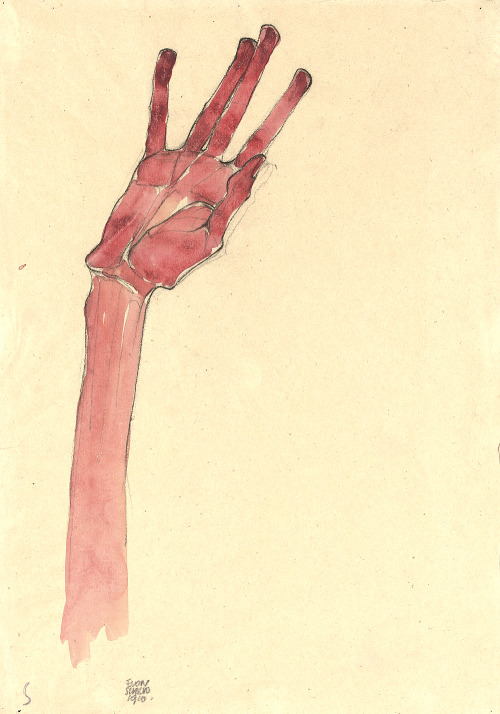 dappledwithshadow:Egon SchieleRed Hand1910