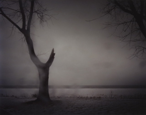 the-night-picture-collector - Todd Hido, From the Series “...