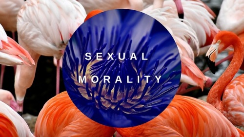 purplebuddhaquotes - sexual morality.Morality and righteousness...