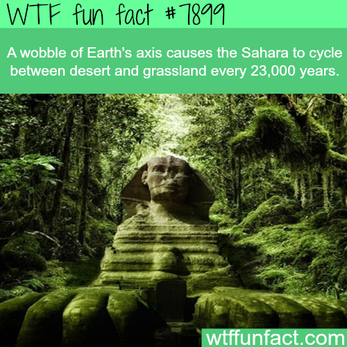 wtf-fun-factss - Green Sahara - WTF fun factsHow many years...