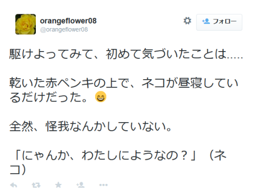 highlandvalley - orangeflower08さんはTwitterを使っています - ...