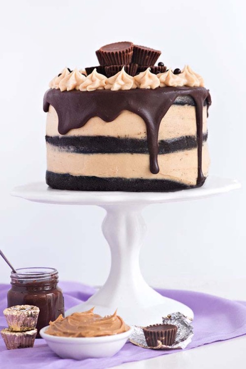 sweetoothgirl:CHOCOLATE PEANUT BUTTER CUP CAKE