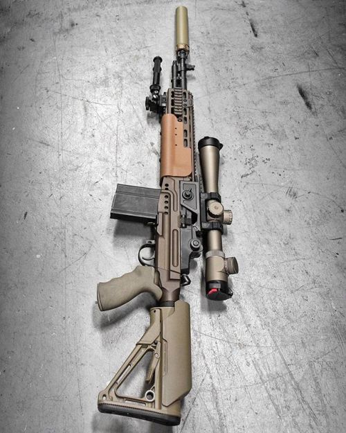 weaponslover - Crazyhorse M1A with EBR Chassis - ©