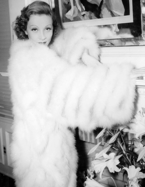 wehadfacesthen - Marlene Dietrich in her dressing room on the...