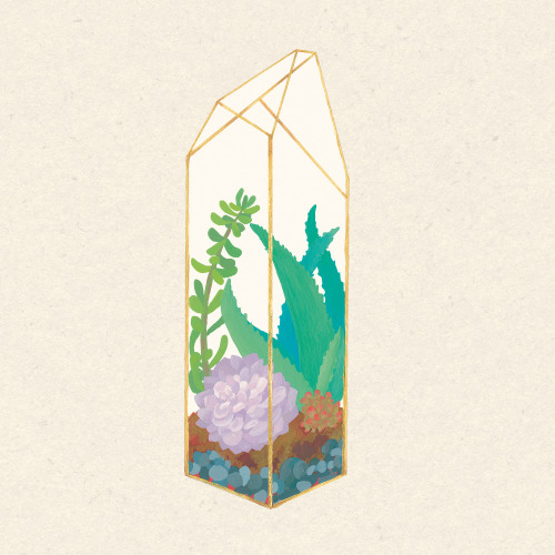 sweetmans - terrarium collection all together - )