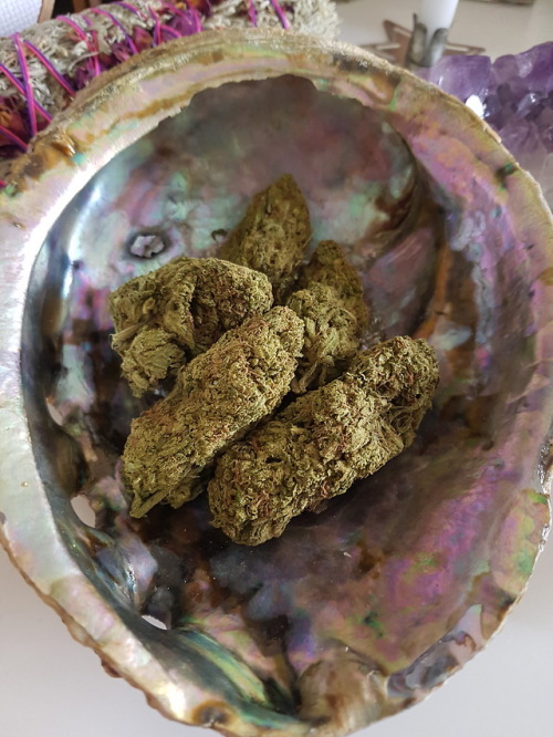 w33d-witch - Look at the size of these nugs 