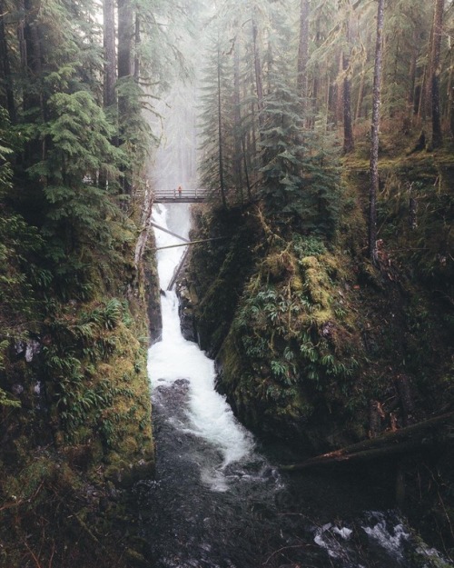 aneyeisuponyou - Sol Duc Falls in Olympic National Park