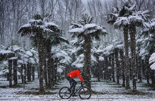 Factor Bikes  ·  David Millar, no fair weather snowflake.