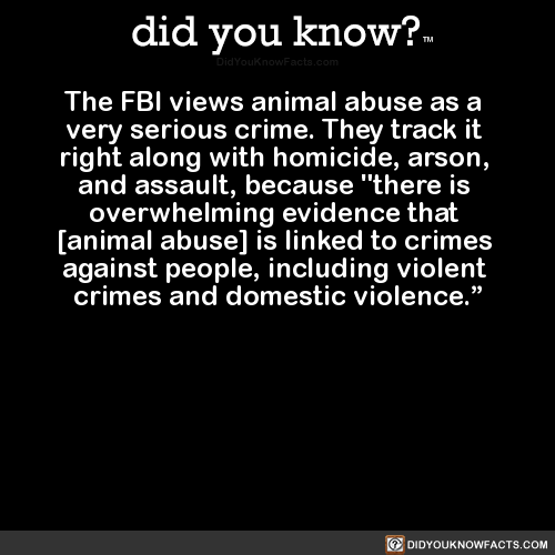 the-fbi-views-animal-abuse-as-a-very-serious