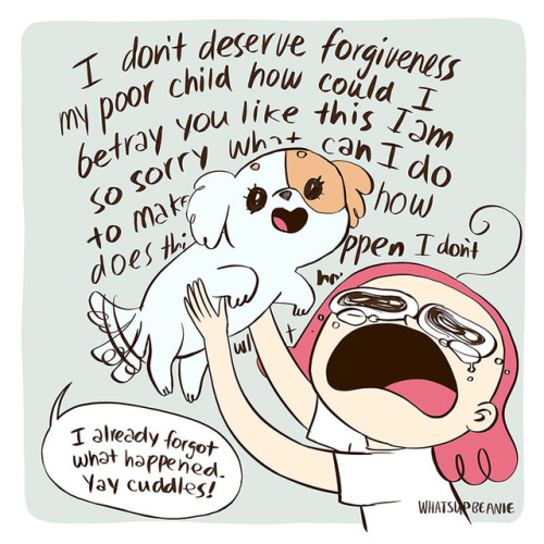 whatsupbeanie - Accidentally hurting a dog breaks my heart. Even...