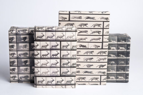 littlealienproducts - Animal Locomotion Wrapping Paper...