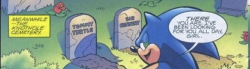 Is Sonic about to commit necrophilia?