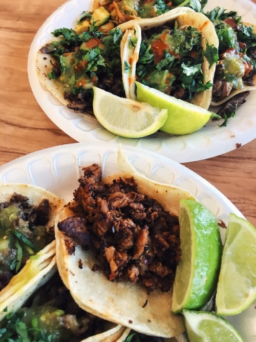 Tacos, will be the death of me | 