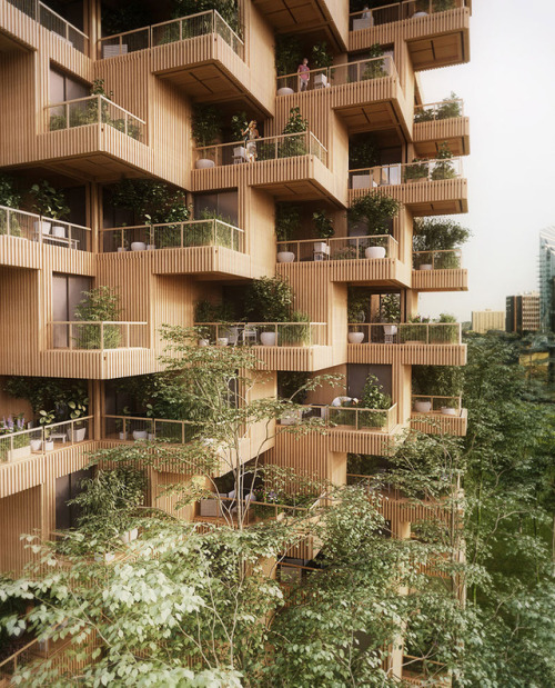 archatlas - Penda proposes Toronto Tree Tower built from...