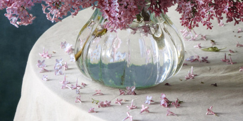 inividia: Purple Lilacs (detail), Nikolay Panov
