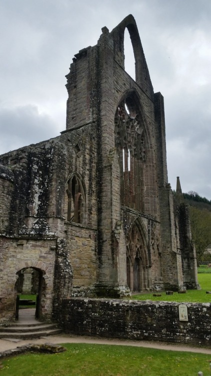 hattedhedgehog - Tintern Abbey ruins, Wales.
