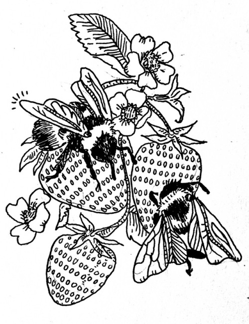 poeticsuggestions - Bees and strawberries.Finished tattoo...
