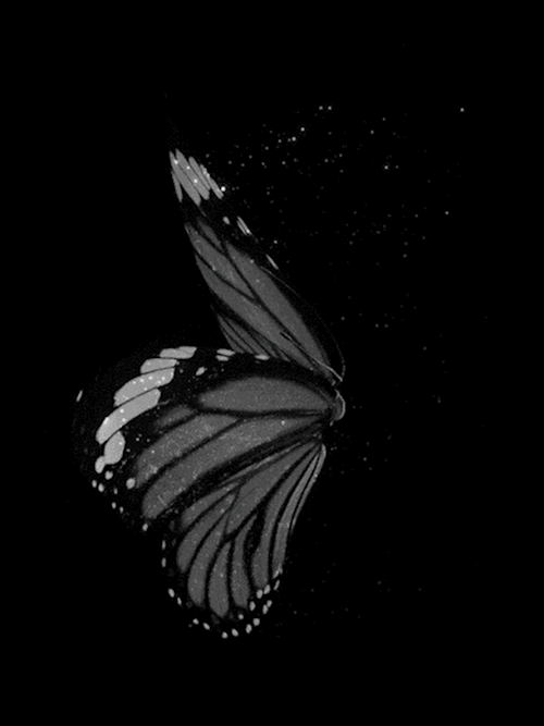 somos-deseos - -Butterfly -Artista - Por conocer