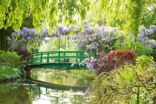 florealegiardini - Le Jardins de Monet,Giverny, Normandy, France...