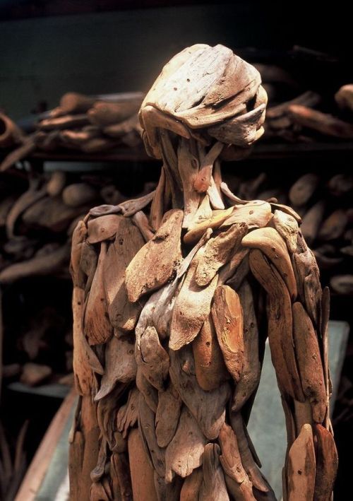 culturenlifestyle - Hauntingly Beautiful Driftwood Sculptures...