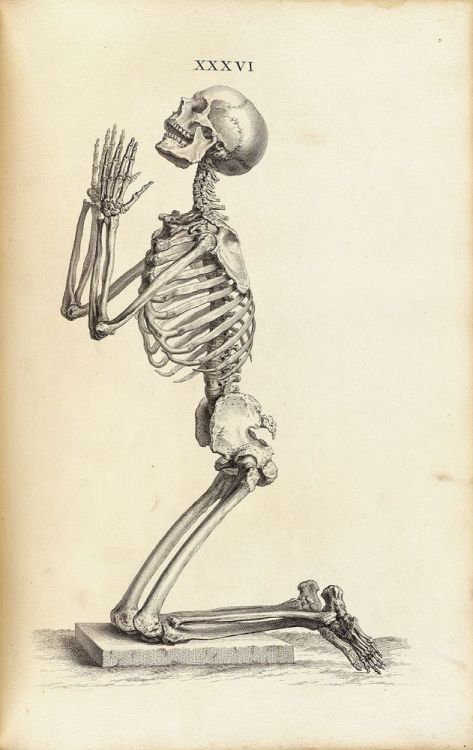 arinewman7:Side View of a Praying Skeleton...