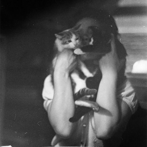 the-night-picture-collector - Gordon Parks, Eartha Kitt, 1952