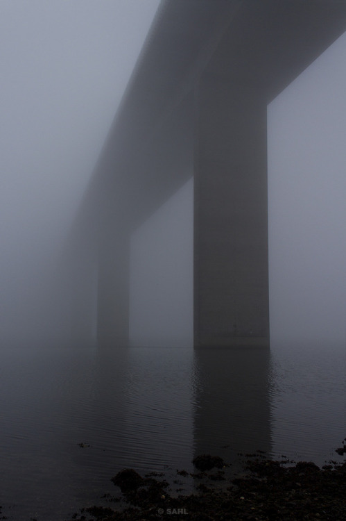 hverdagsfoto - Brigde in fog9 November 2018