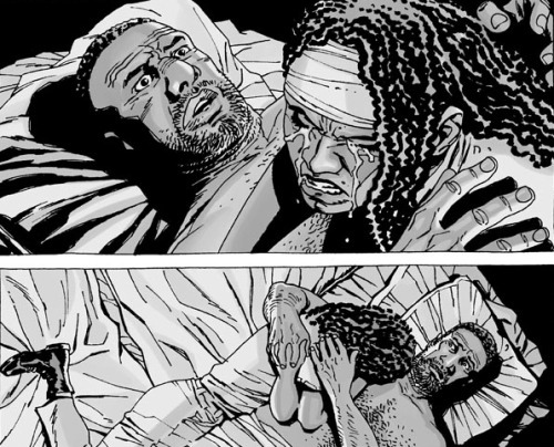 wolfwhiteflowers - Carol and comic-Michonne and the pairings. /...