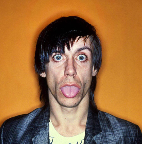 soundsof71 - Iggy Pop for 1977′s The Idiot, by Allan Tannenbaum,...