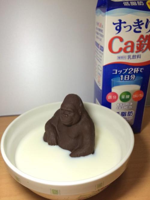 coolgrool420 - khoide - shuarchy - とりあえず牛乳に入れてみたよこいつはw有名なチョコww...