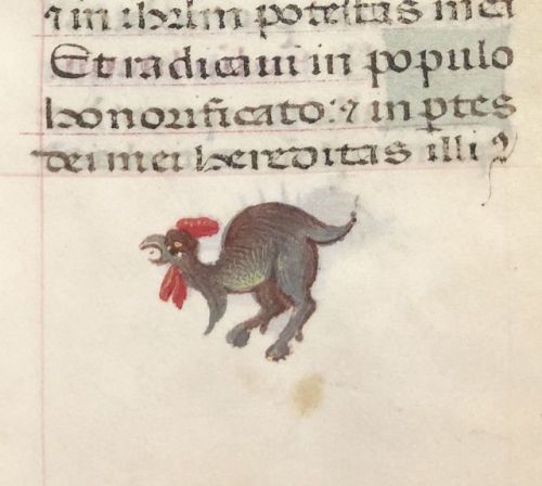 smithsonianlibraries - Caution - monsters in the margins! These...