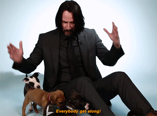justiceleague - Keanu Reeves Plays With Puppies While...