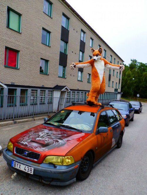 fursuitpursuits - RT @SweaWolf6 - miss my old car, it was fun to...
