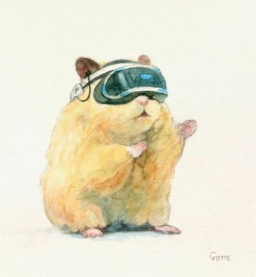 the-random-of-gear - nauan-ix - ♡ Hamster’s life...