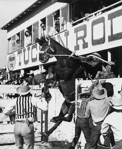 cowboy-outlaw - David Thompson on Big Ed, Tucson 1973By Louise...