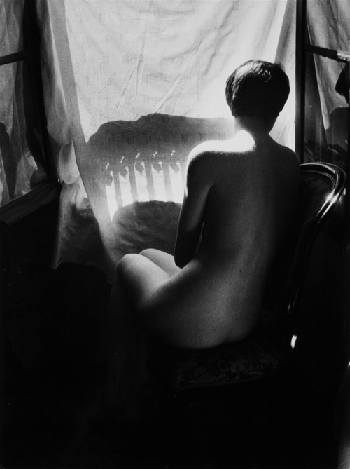 semioticapocalypse - Willy Ronis. Nude in the Southern Suburbs of...